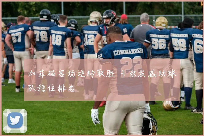 加菲猫客场逆转取胜 卡尔发威助球队稳住排名
